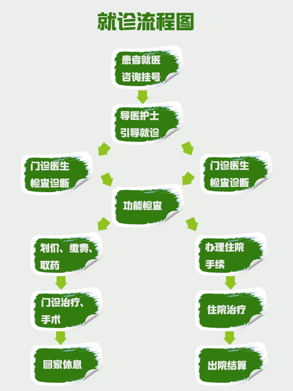 就诊流程 就诊流程